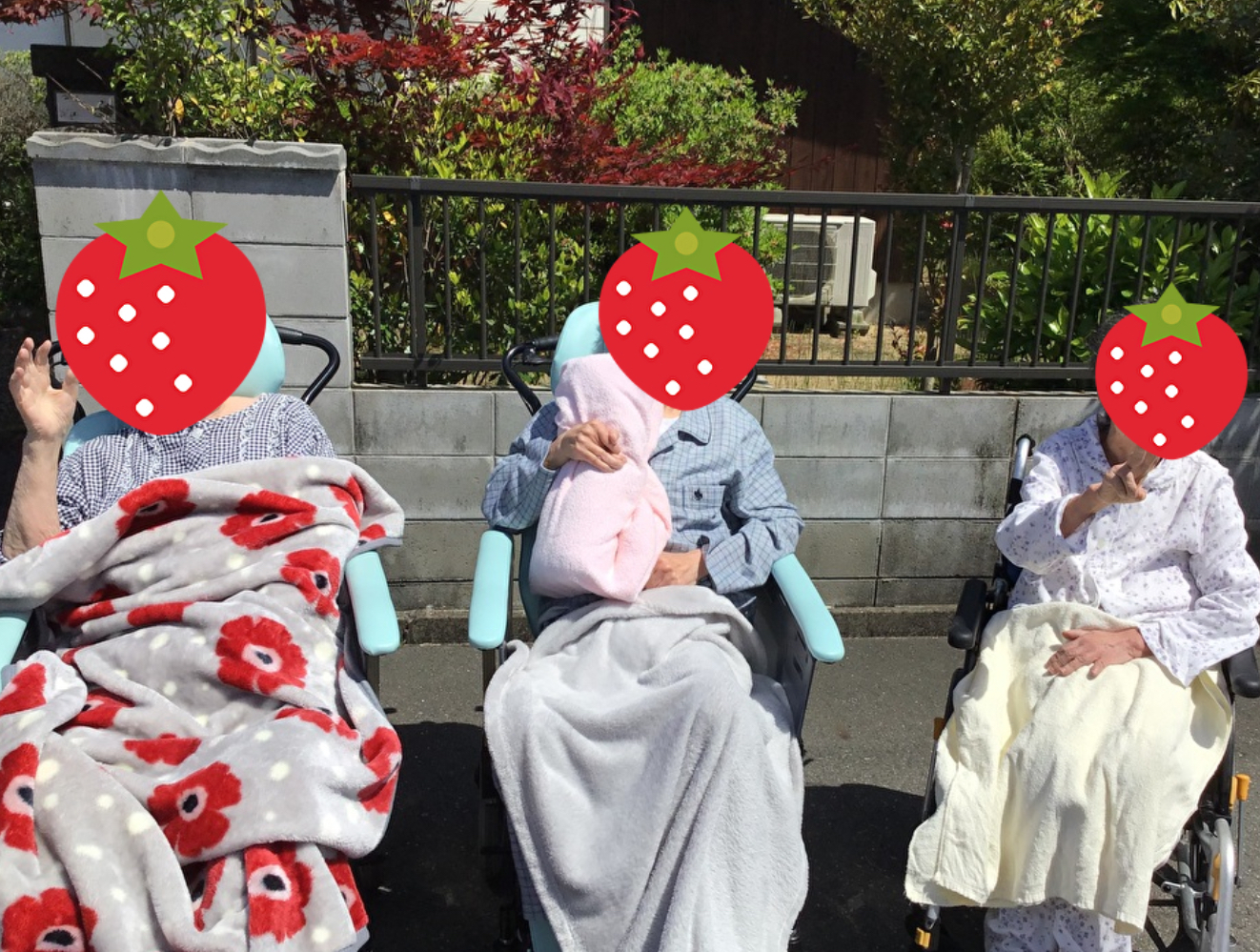 お散歩日和 イメージ