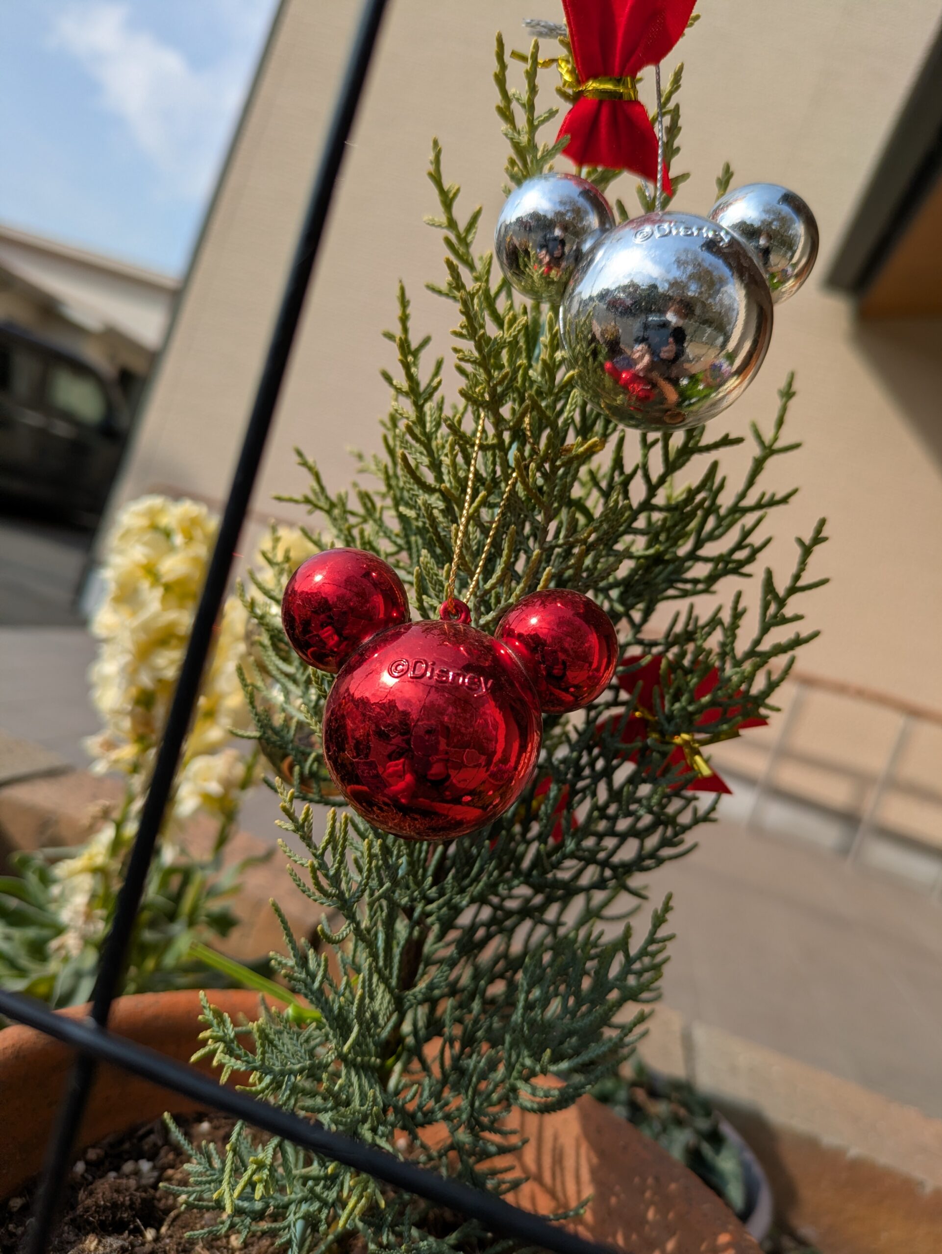 急に12月を感じますね！ イメージ