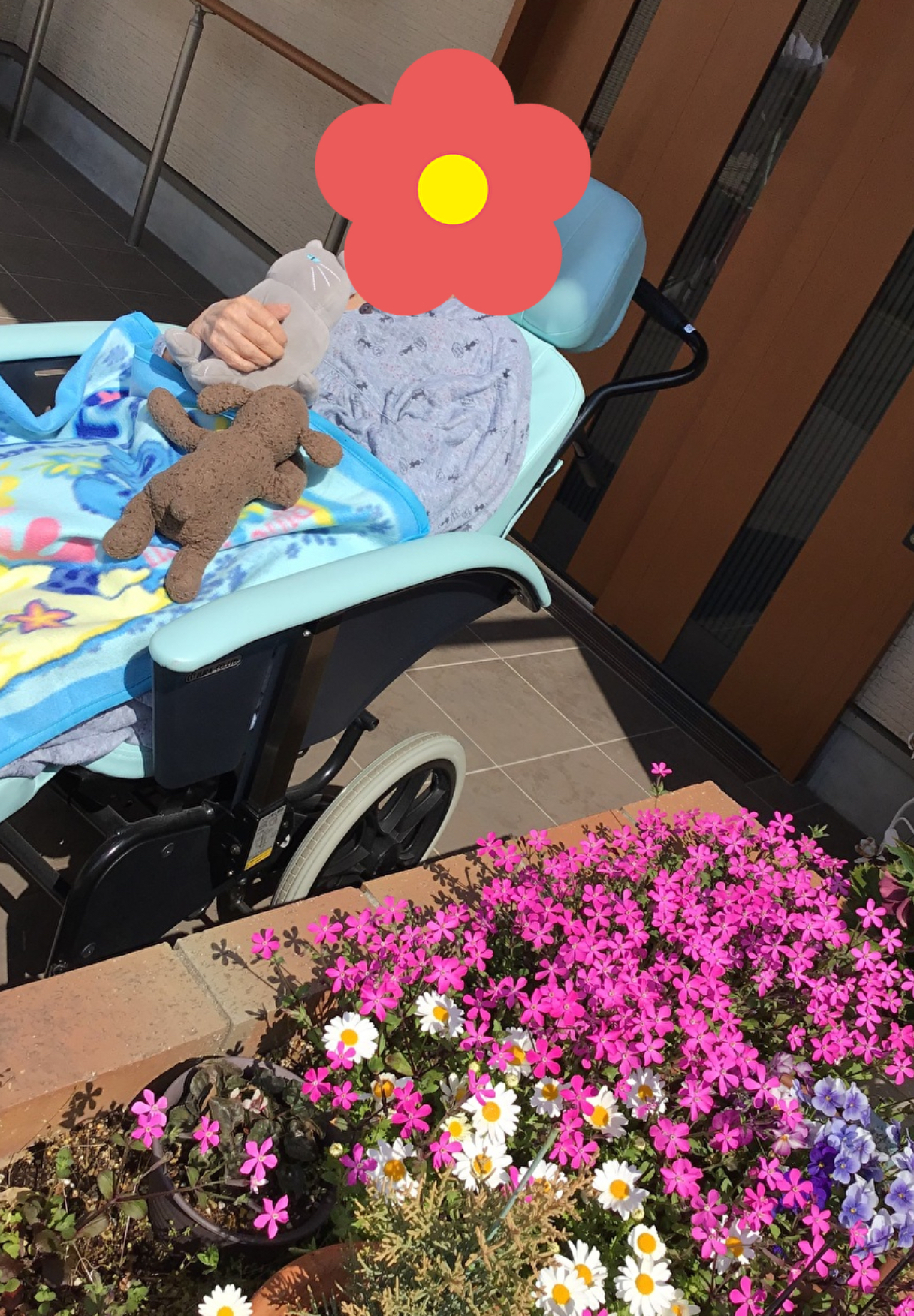 暖かくなってきました！！ イメージ