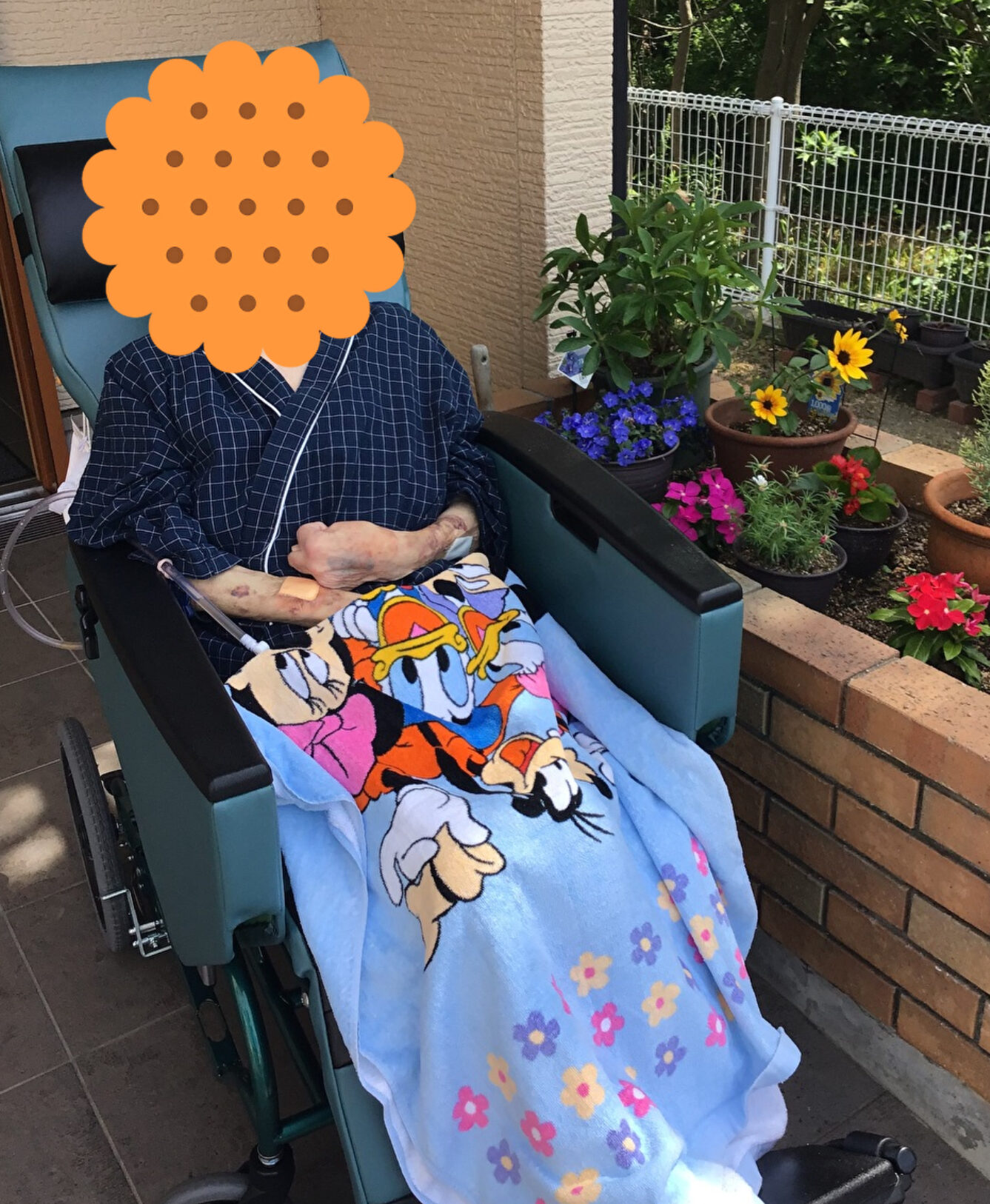 見に行きました！！ イメージ